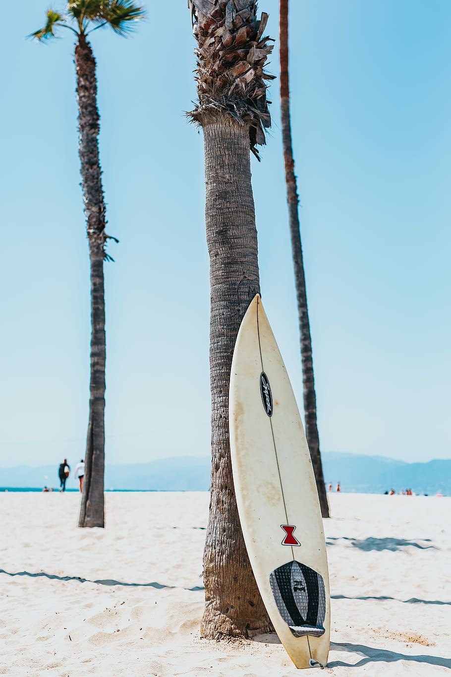 white and black surfboard leaning on gray Mexican palm tree, surfboard leaning on palm tree