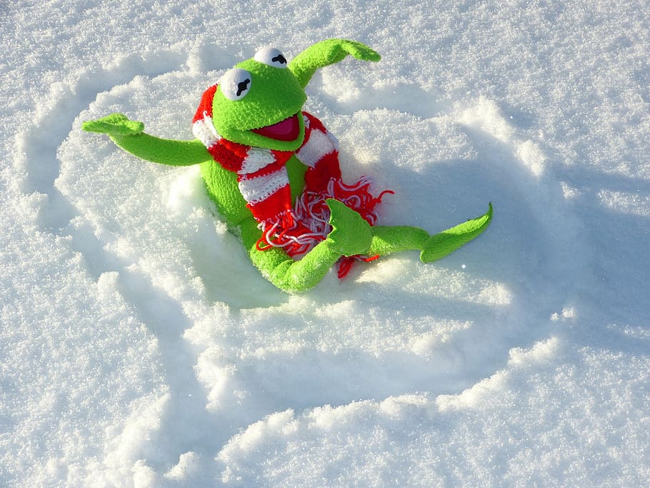 green frog on snow, kermit, fun, winter, cold, cold temperature HD wallpaper