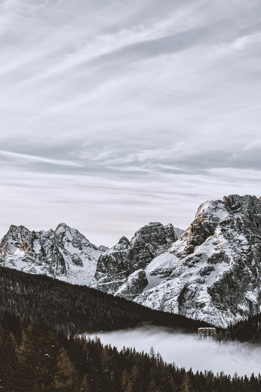 photo of mountain near pine trees, aerial photography of mountain and trees HD wallpaper