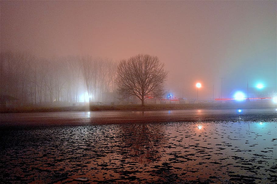 Fog, Night, Tree, Light, Shadow, silhouette, pond, water, frozen HD wallpaper