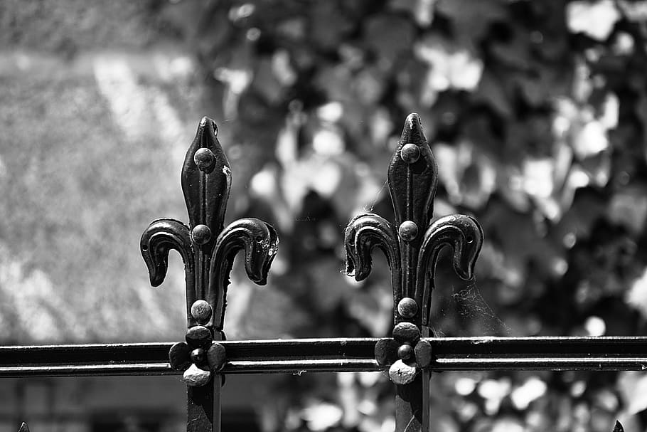 grayscale photo of fleur de lis fence, Wrought Iron, Metal, black and white