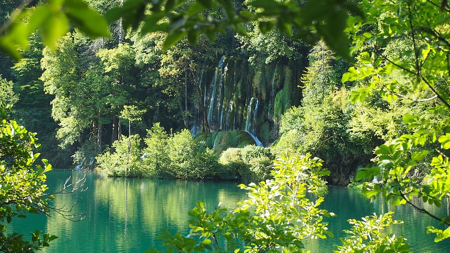 green leaf trees near pond, croatia, plitvice lakes, water, waterfall