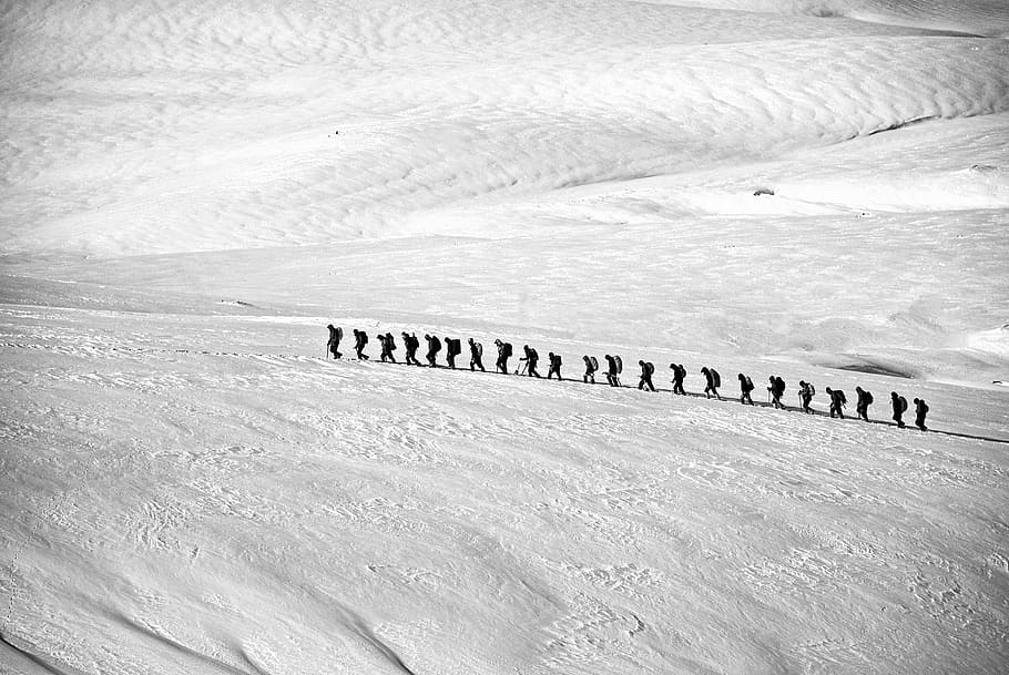 people walking on snow covered land, trekking, hiking, group, HD wallpaper