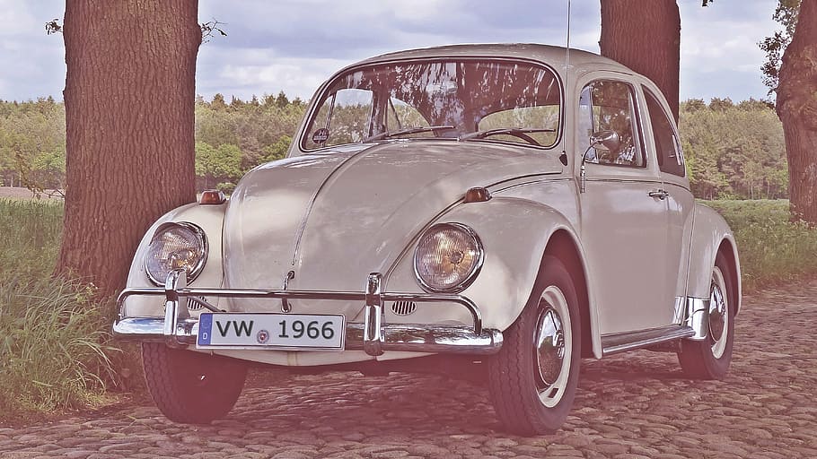 white Volkswagen classic Beetle parked beside tree, vw beetle HD wallpaper