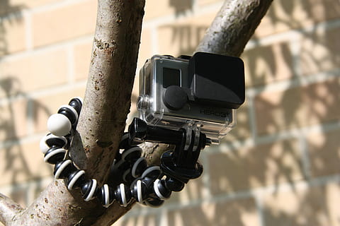 Go Pro, Sport, Camera, Tree, technology, camera - photographic equipment HD wallpaper
