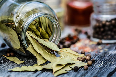 clear glass jar with green leaves, spices, kitchen, cooking HD wallpaper