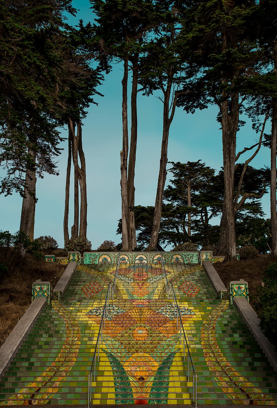 multicolored stairs under green leafed tree, green and yellow concrete stairs HD wallpaper