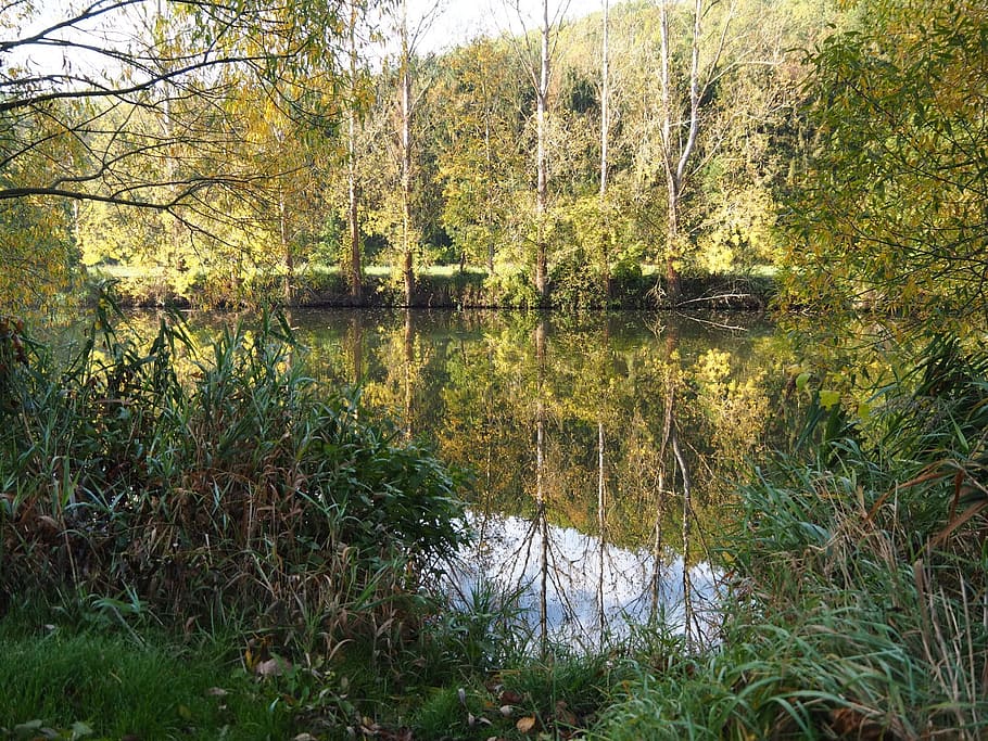 water, mirroring, nature, reflections, lake, landscape, trees HD wallpaper