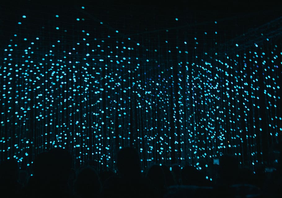 blue light fixture, hanging green string lights, dark, night HD wallpaper
