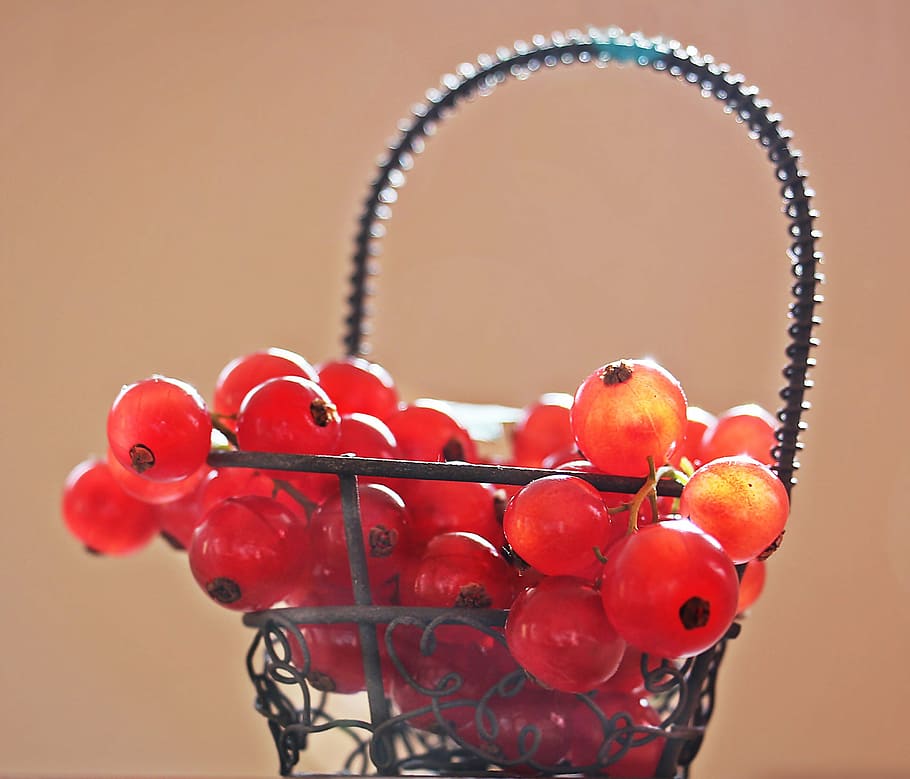 red berries in the basket, currants, fruit, red currant, fruits HD wallpaper