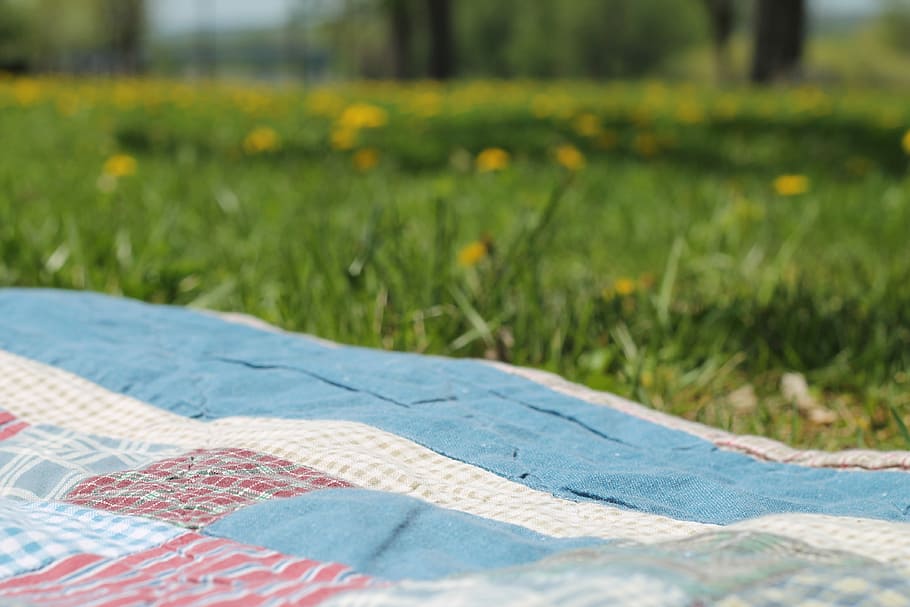 white and blue picnic mat near green grass, Blanket, Summer, Park, HD wallpaper