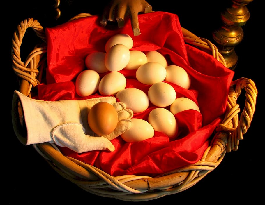 eggs, basket, chicken, bird, wicker, white, brown, food, embryo HD wallpaper