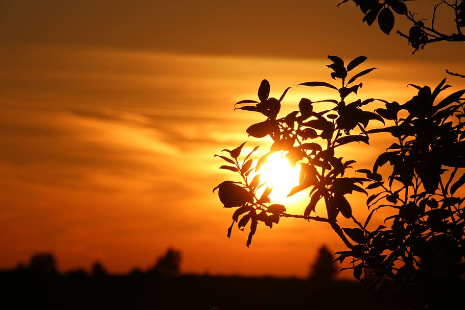 sunset, clouds, afterglow, abendstimmung, sky, silhouette, beauty in nature HD wallpaper