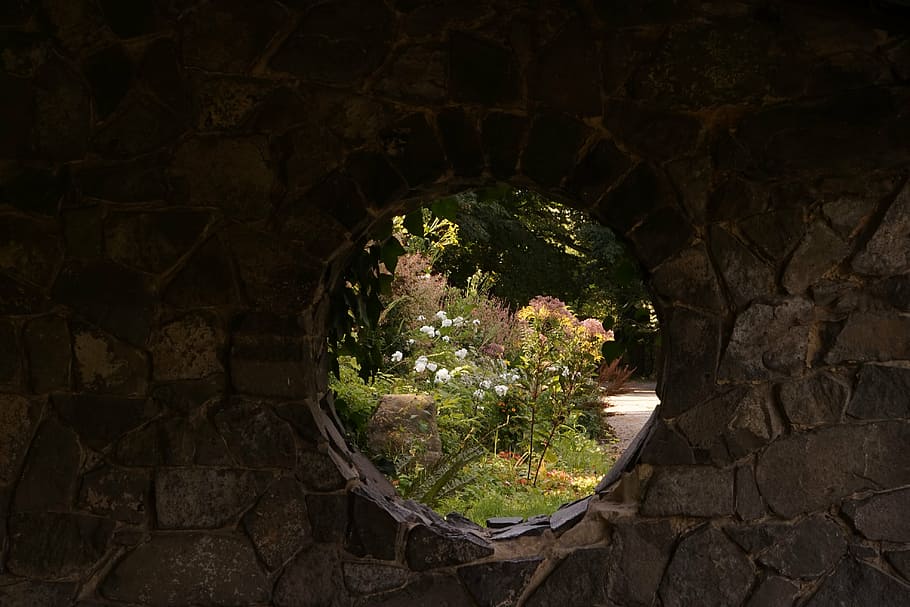 gray stone wall with hole, by looking, flowers, window, architecture HD wallpaper