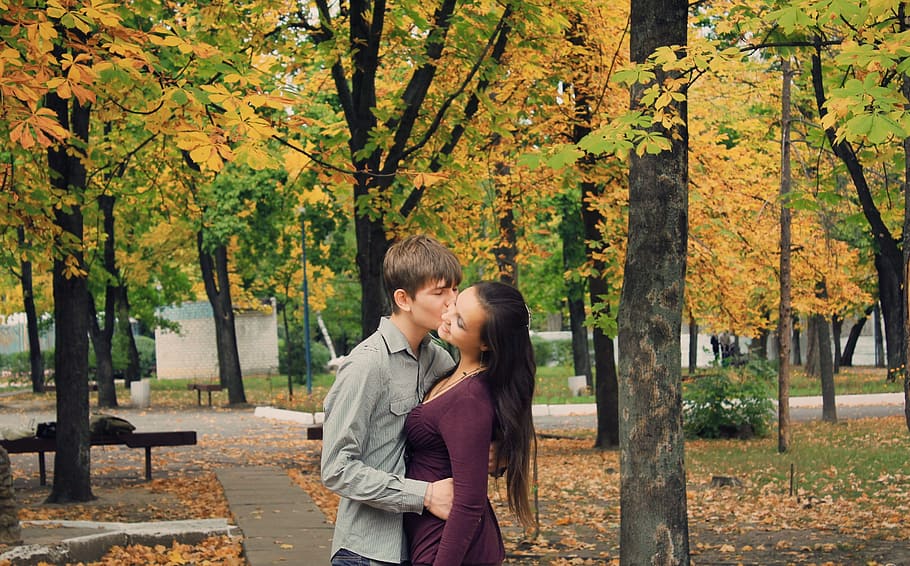 man kissing woman under maple trees, Sweethearts, Girl, Guy, Love, HD wallpaper