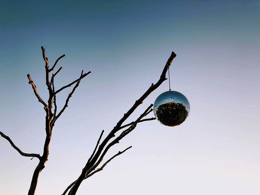 silver mirror ball hung on withered tree, close up photography of gray bauble hanging on twigs HD wallpaper