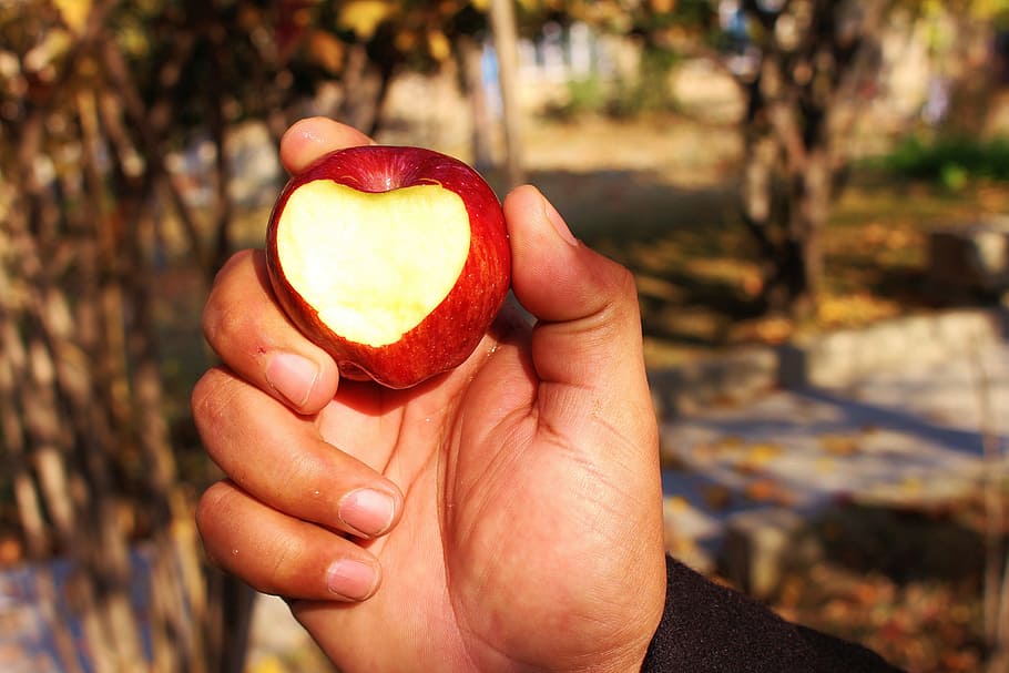 Apple, Heart, Love, Red, Fruit, Shape, fresh, sweet, natural, HD wallpaper