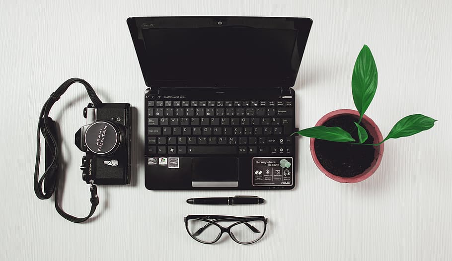 black laptop computer beside green leaf potted plant, office HD wallpaper
