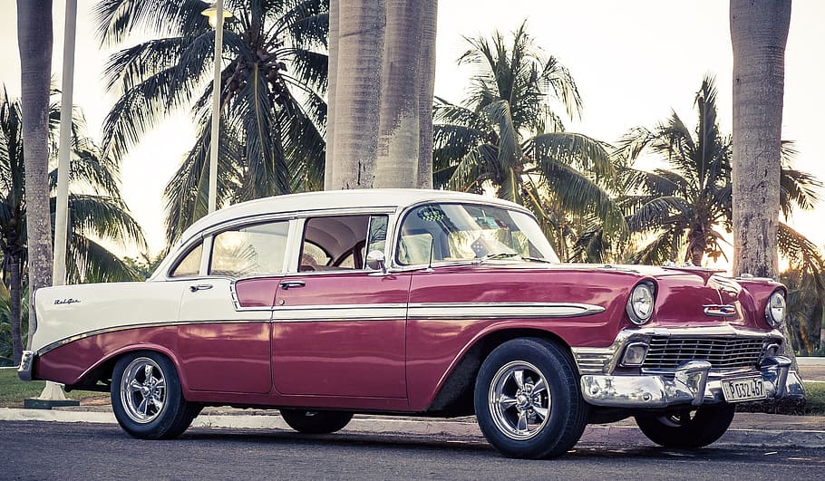 classic white and maroon sedan near palm trees, oldtimer, cuba, HD wallpaper