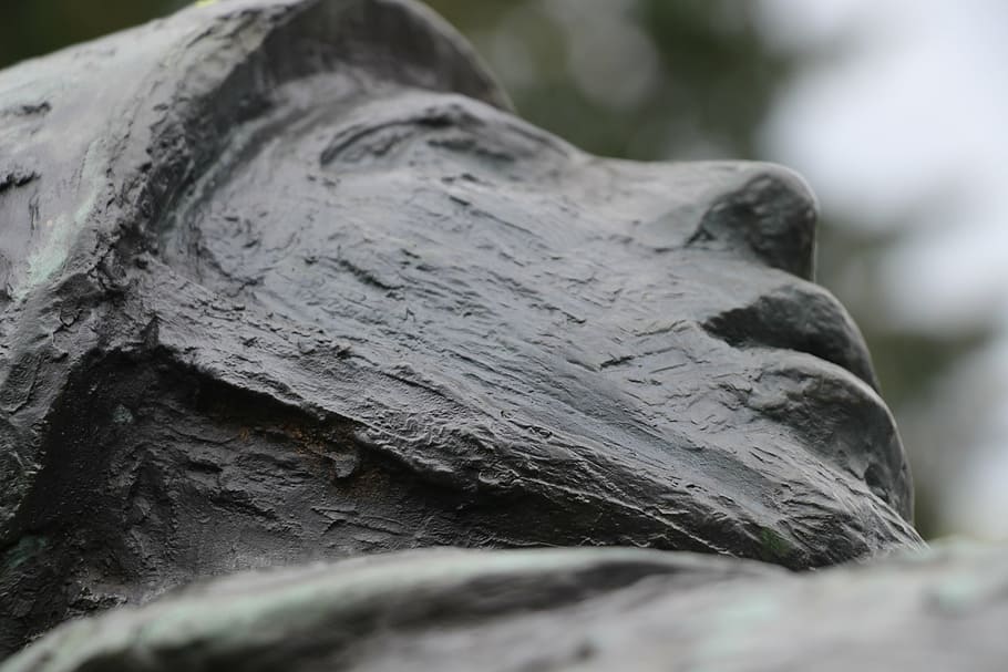 head, statue, soldier, nature, tree, close-up, selective focus HD wallpaper