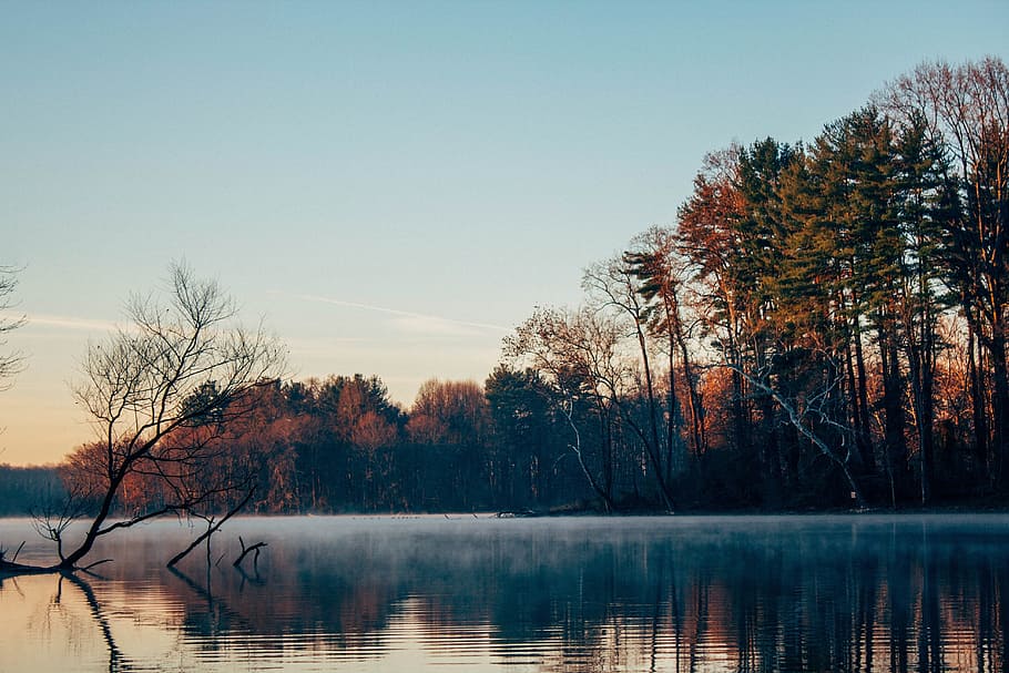 sea, ocean, water, reflection, autumn, fall, trees, plants HD wallpaper