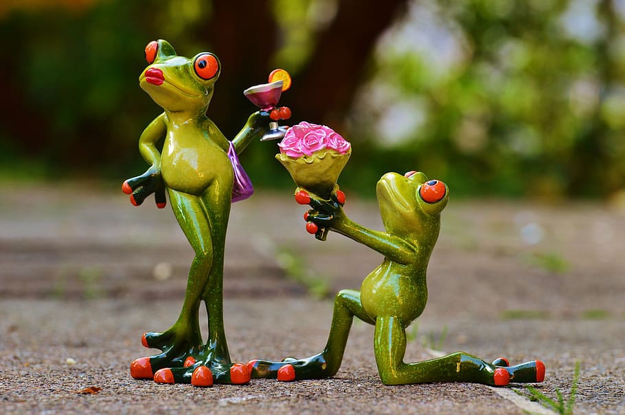 couple frog, i beg your pardon, marriage proposal, excuse me, HD wallpaper