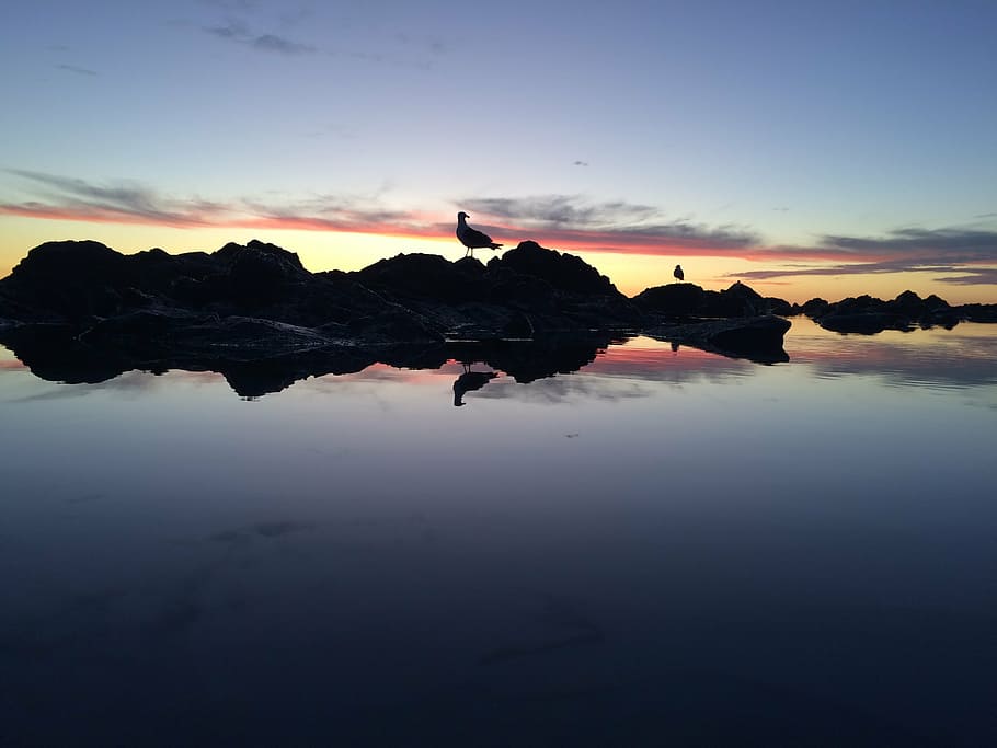 tranquil sea, sunset, beach, nature, dusk, reflection, landscape HD wallpaper