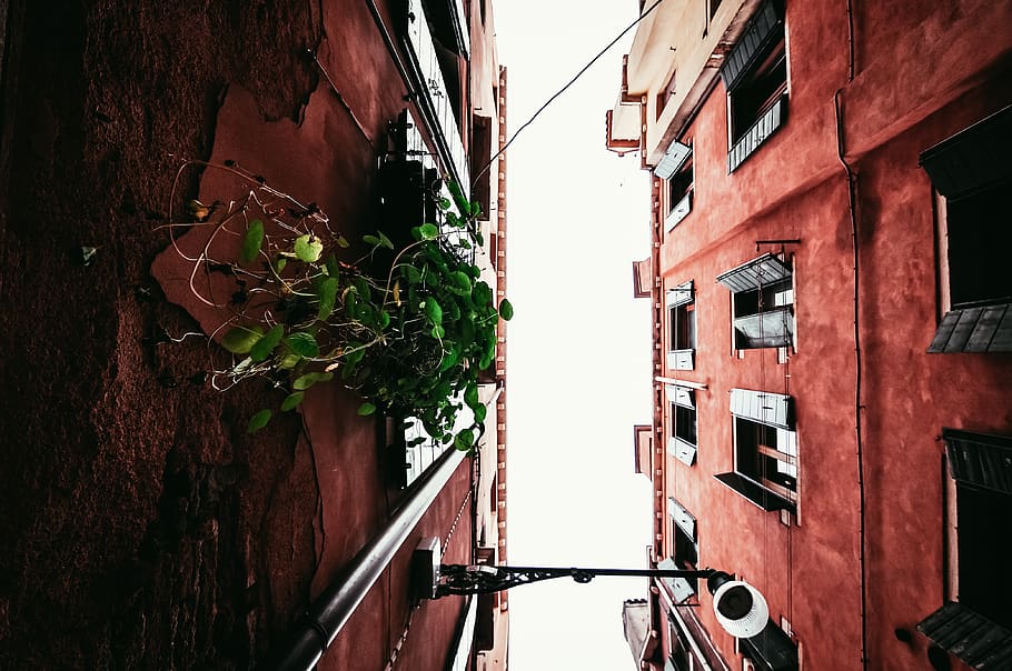 architecture, building, infrastructure, sky, skyscraper, green HD wallpaper