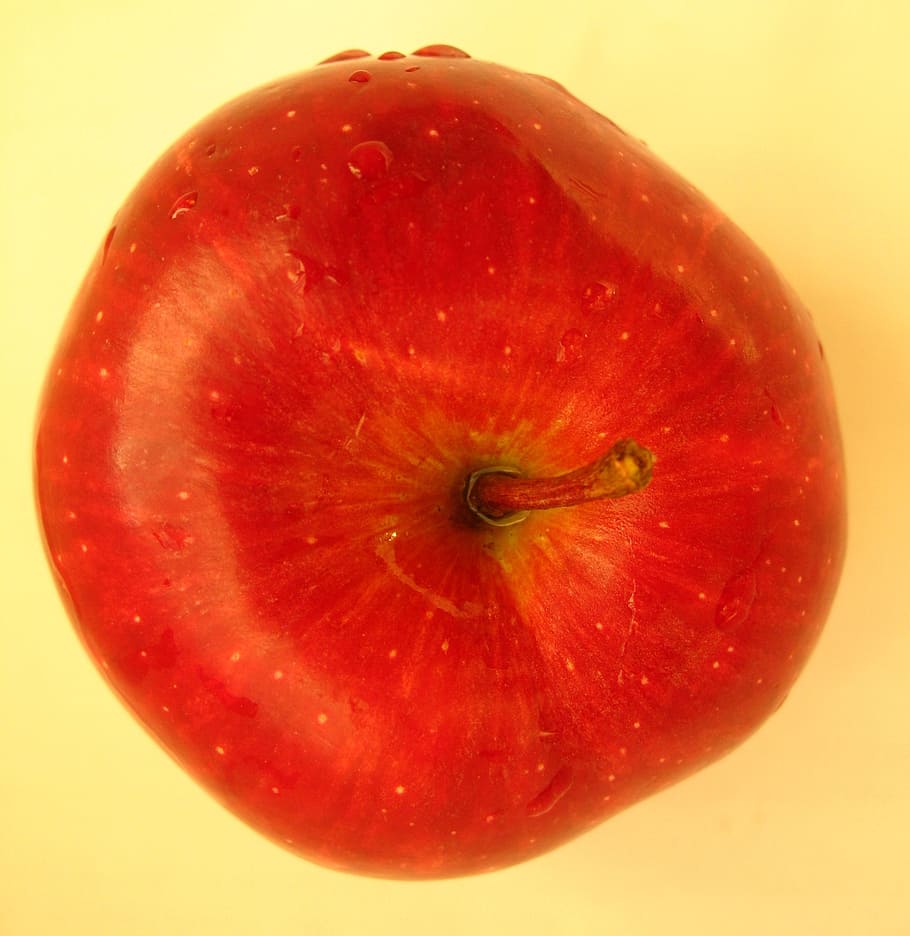 apple, fruit, red, nature, plant, freshness, healthy eating HD wallpaper
