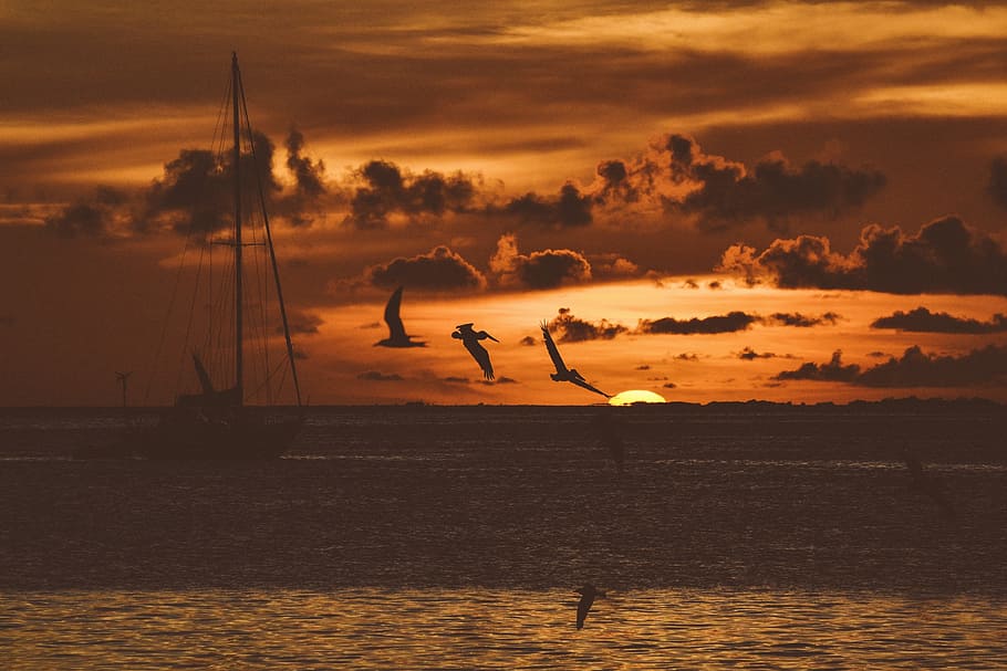 sea, ocean, water, waves, nature, sunset, view, horizon, boat HD wallpaper