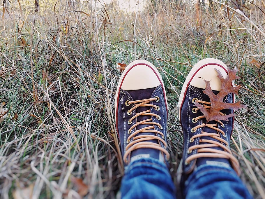 converse, chucks, sneakers, fall, leaves, shoe, low section HD wallpaper