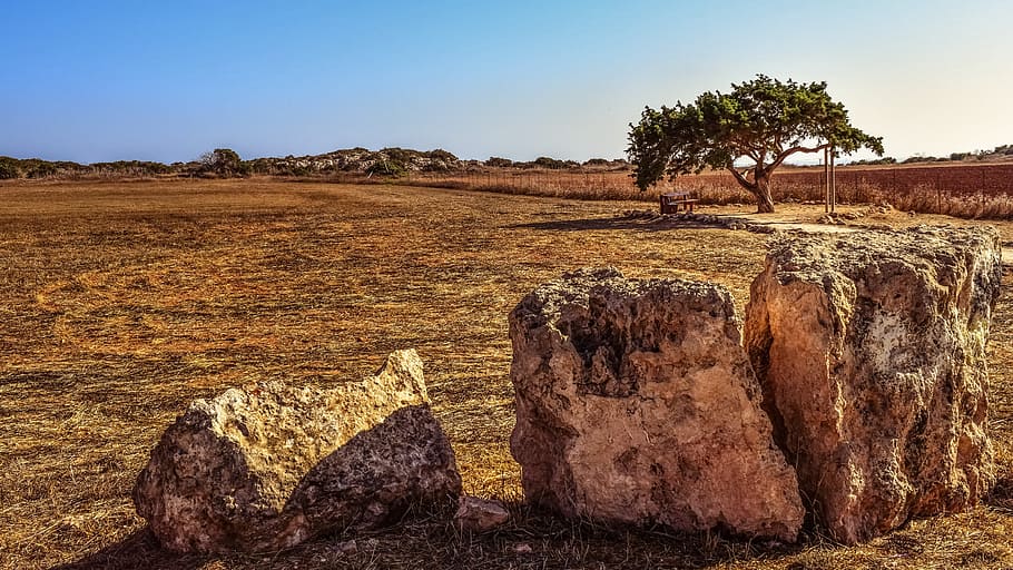 rocks at the open field, Tree, Landscape, Nature, Scenery, summer HD wallpaper