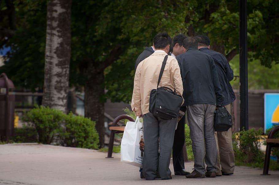 people, street, men, park, group, outdoors, tourists, rear view HD wallpaper
