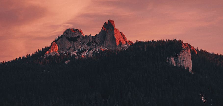 low angle photography mountain forest during golden hour, rock formation surrounded by trees during golden hour HD wallpaper