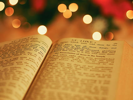 close-up photo of white printed book, st, luke, bible, page HD wallpaper