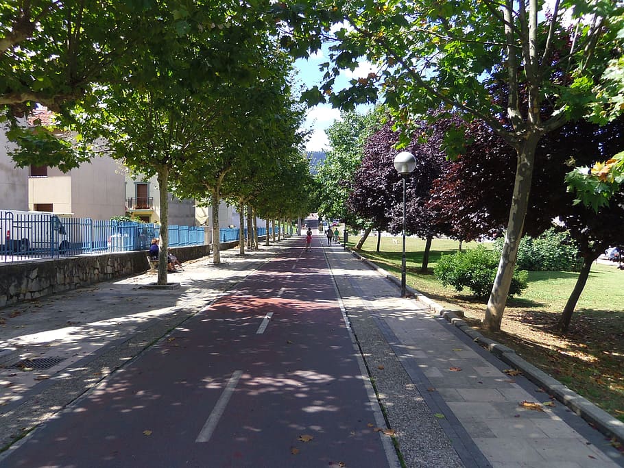 Street, Trees, Nature, Path, Child, park, trail, bike path HD wallpaper