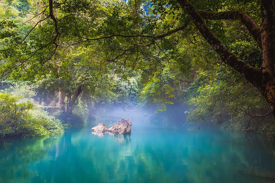 body of water near green trees during daytime, vietnam, famous, HD wallpaper