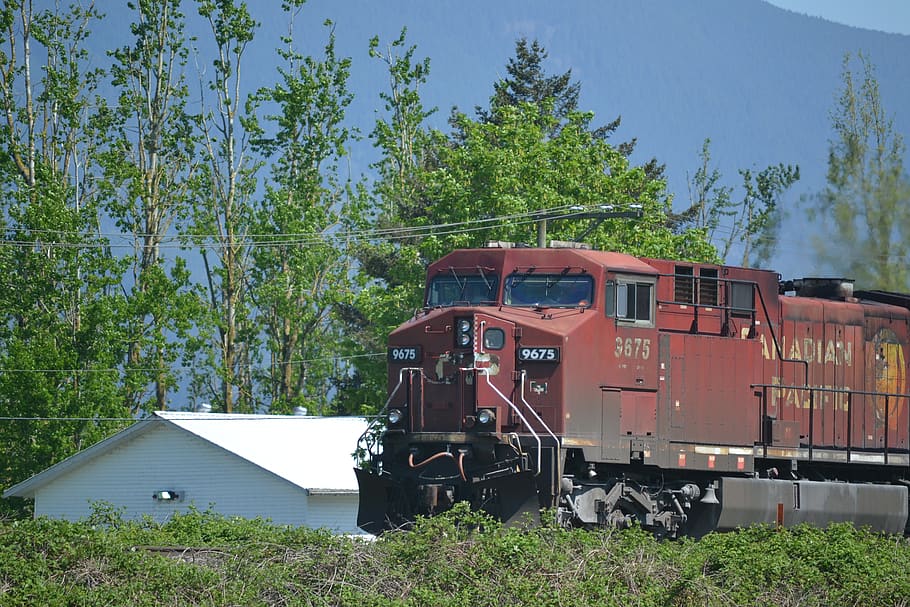 train, red, trees, railroad, plant, train - vehicle, rail transportation HD wallpaper