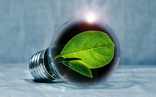 illustration of light bulb with green leaf, chlorophyll, leaf green HD wallpaper