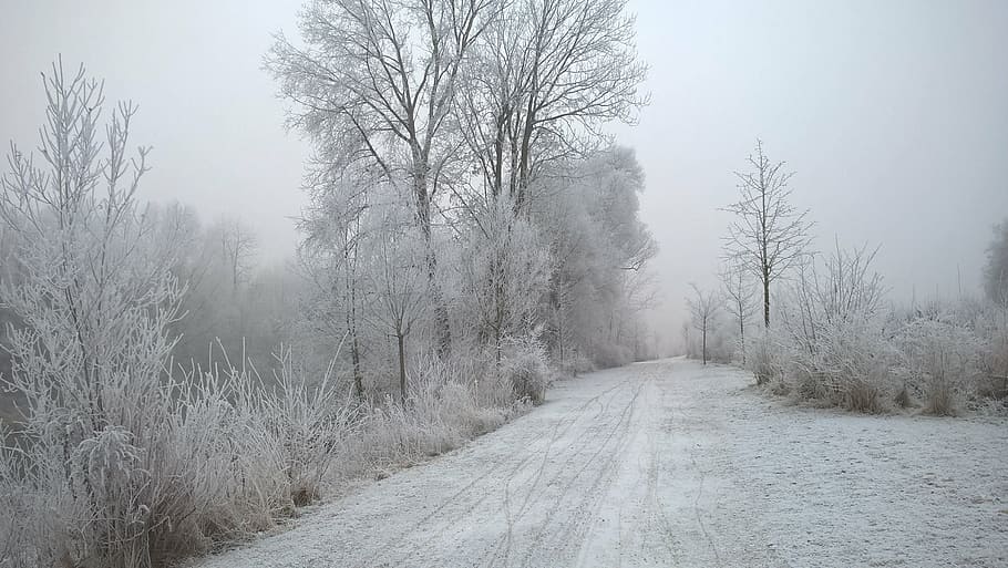 winter, landscape, ice, snowy, eiskristalle, frost, wintry HD wallpaper