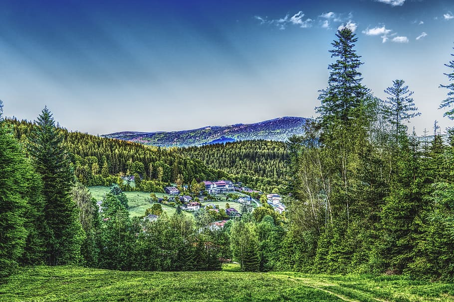 forest wallpaper, View, Valley, Mountains, Landscape, nature HD wallpaper