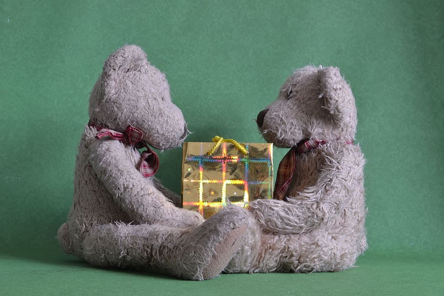 two gray bear plush toys facing each other, Present, Sharing