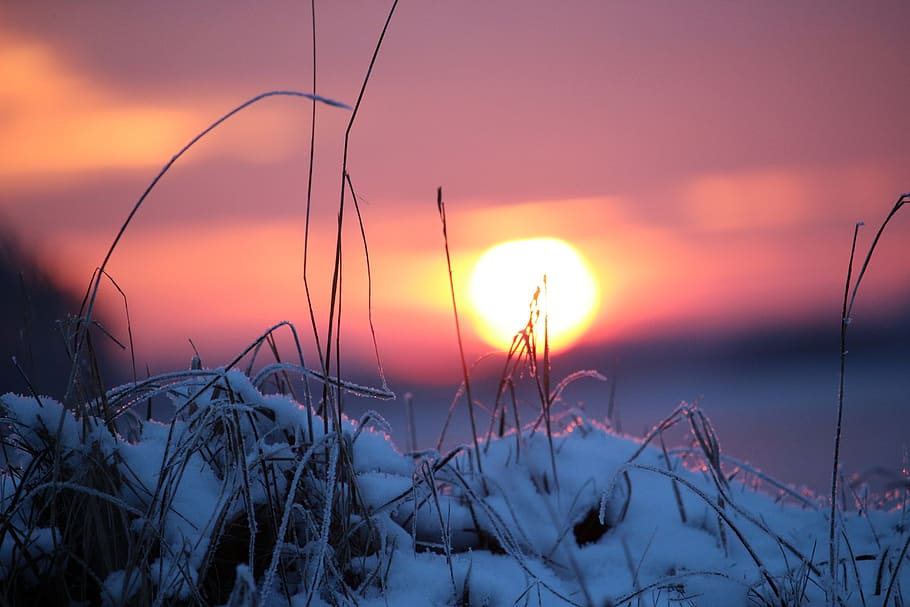 sunset, snow, winter, wintry, sun, afterglow, abendstimmung HD wallpaper
