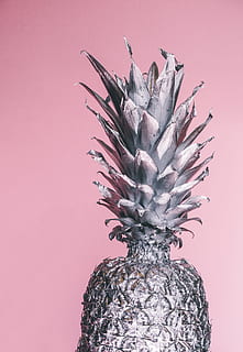pineapple, dessert, appetizer, fruit, juice, crop, silver, studio shot HD wallpaper