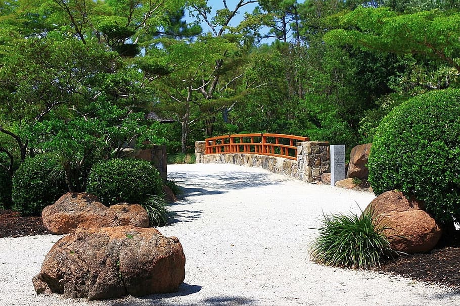 three brown stones on white concrete floor, path, bridge, tree HD wallpaper