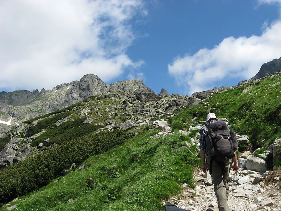 Mountains, Tatry, Path, Climber, the path, nature, outdoors HD wallpaper