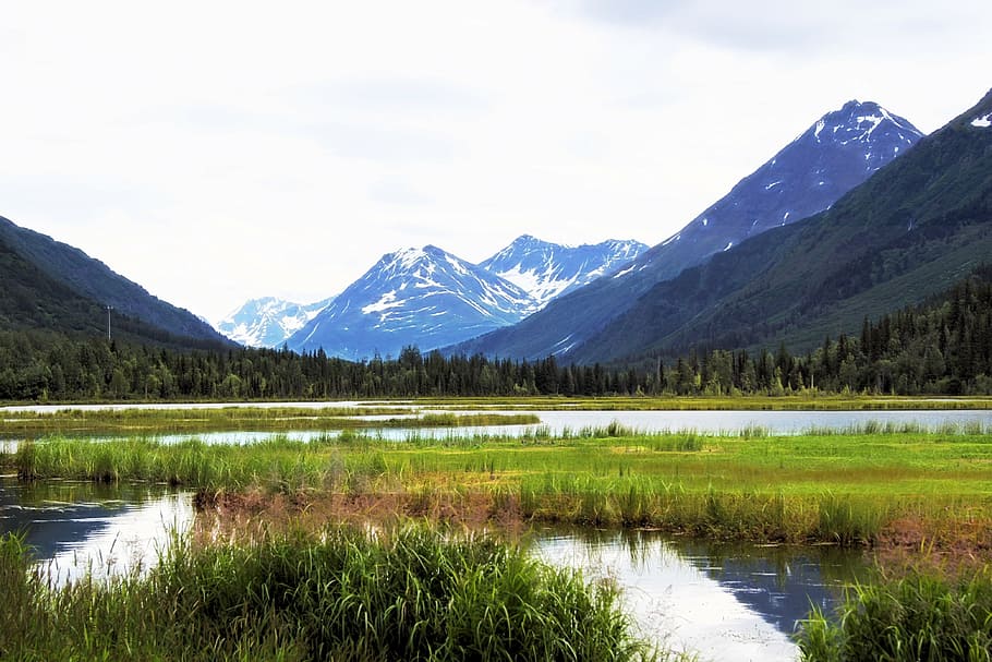 green grass on body of water, alaska, mountain, landscape, nature, HD wallpaper