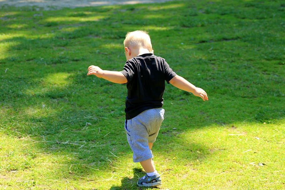 boy walking on lawn, child, little man, first steps, childhood, HD wallpaper