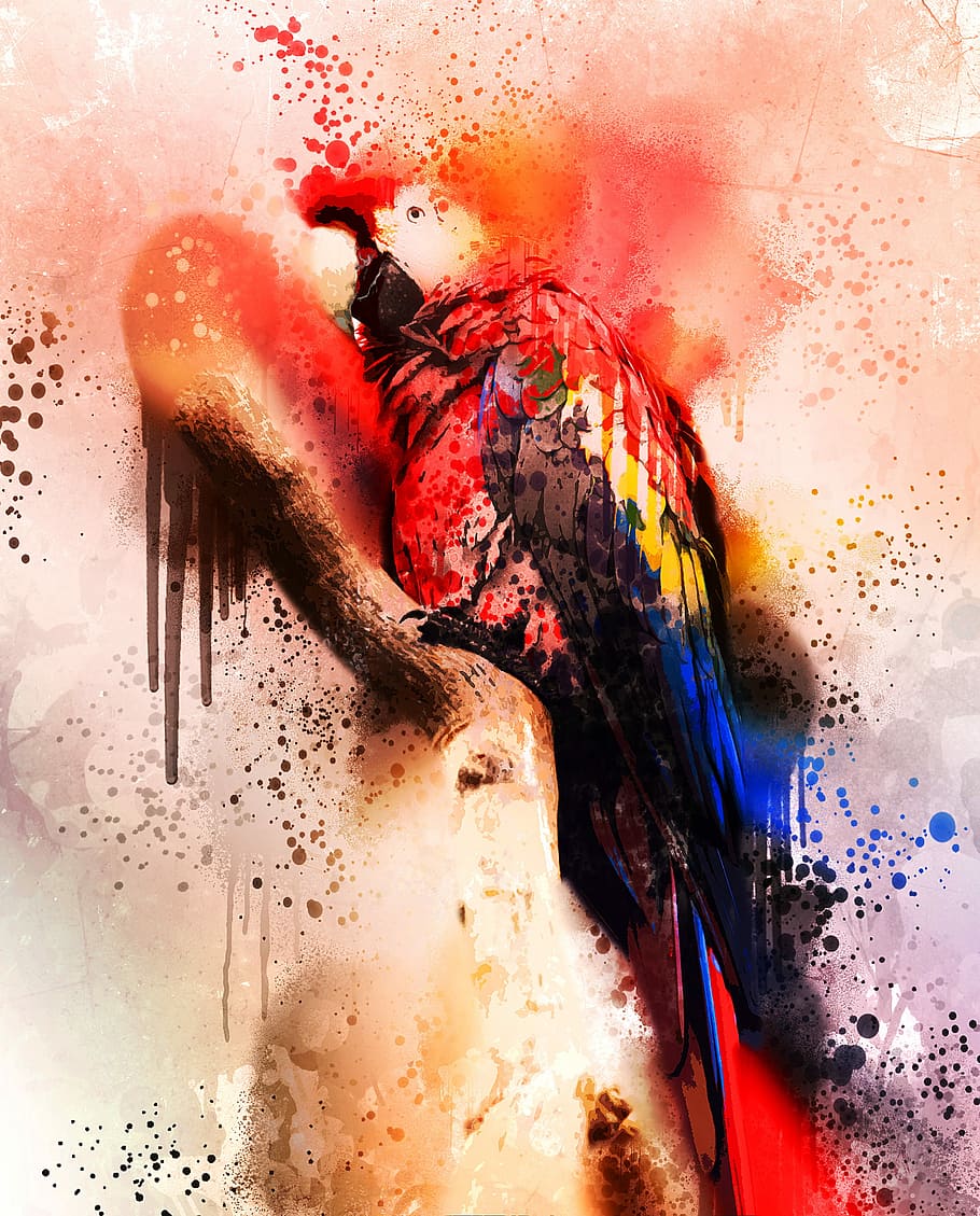 red, blue, and yellow macaw bird painting, colorful, spray HD wallpaper