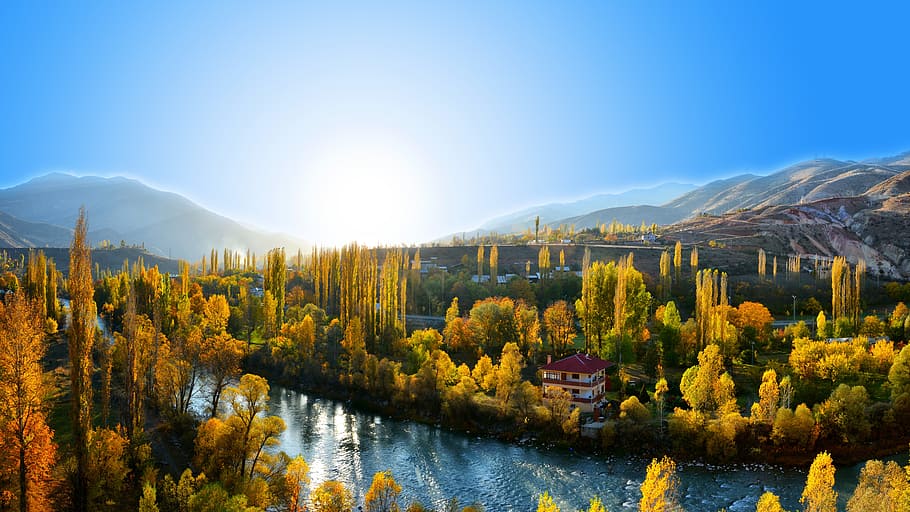 birds eyeview trees photography, turkey, coruh river, streaming HD wallpaper